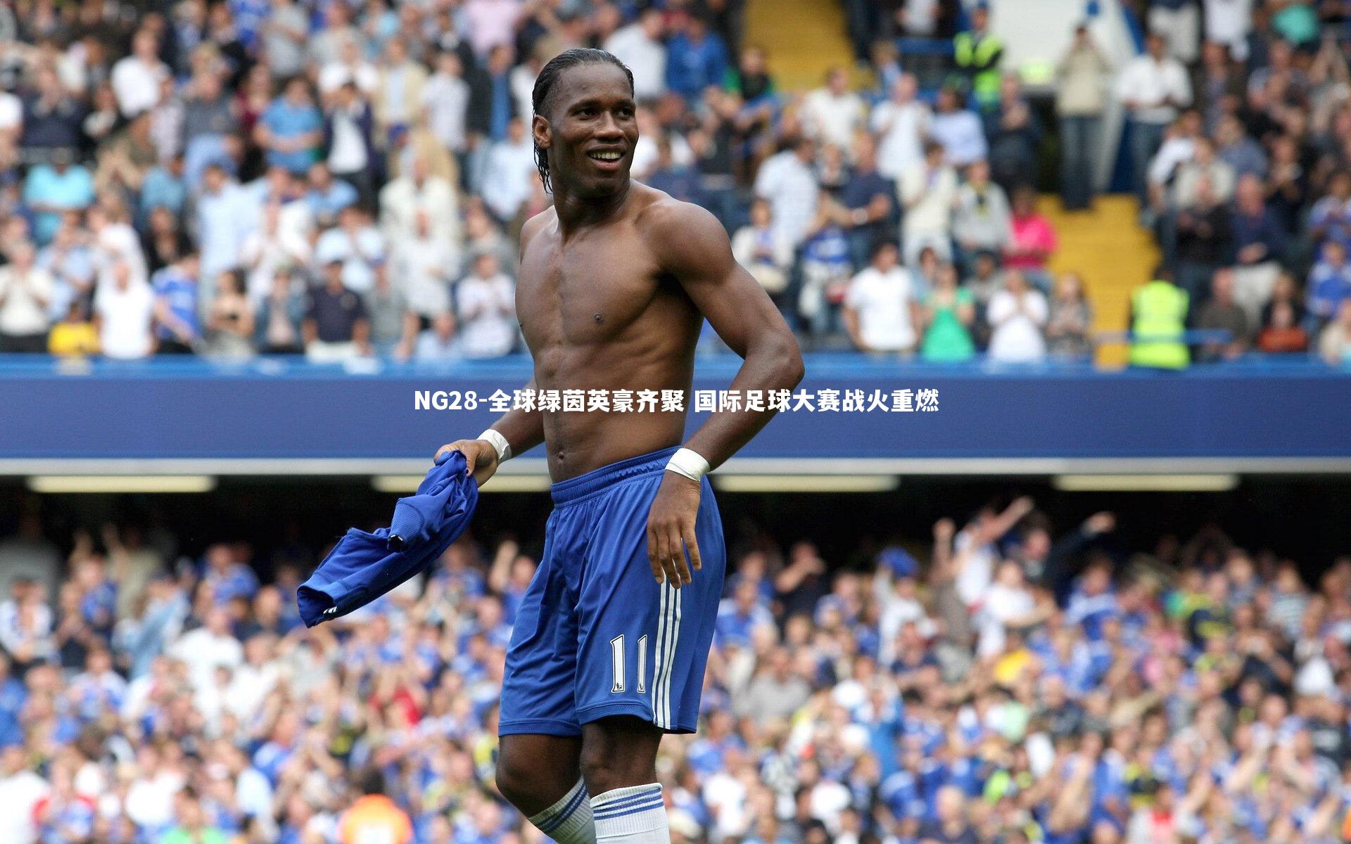 NG28-全球绿茵英豪齐聚 国际足球大赛战火重燃